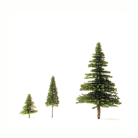 Coniferous Trees Coniferous Trees