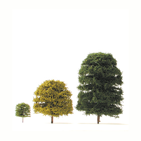 Deciduous Trees Deciduous Trees